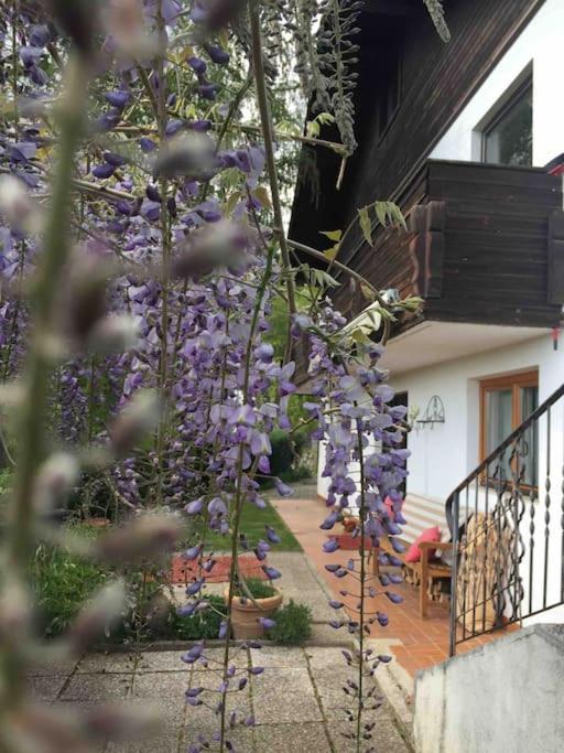 Charmantes Landhaus Mit Garten Und Traumhaftem Fernblick Thal  外观 照片