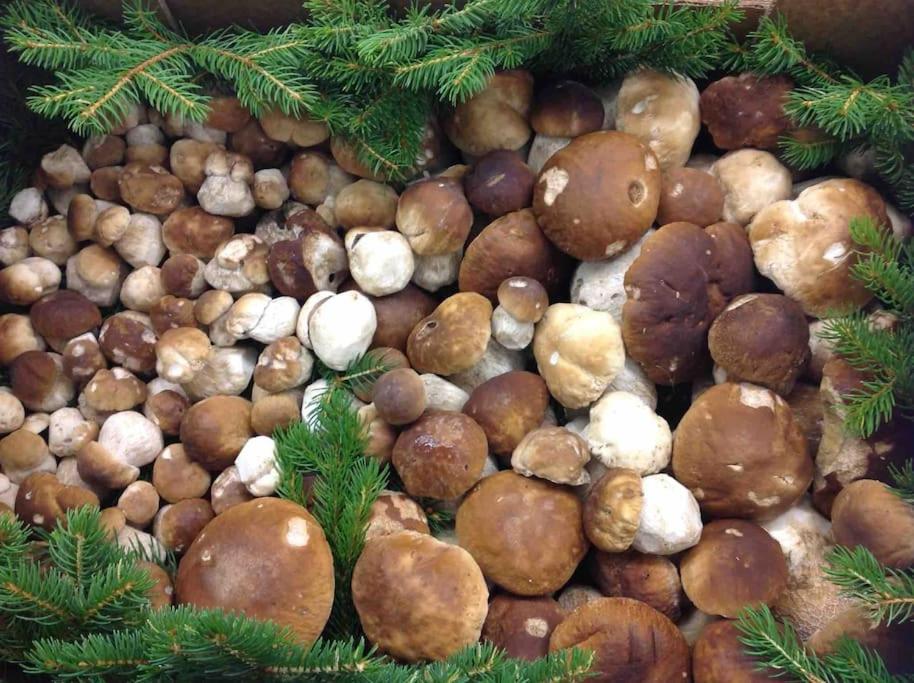 Charmantes Landhaus Mit Garten Und Traumhaftem Fernblick Thal  外观 照片