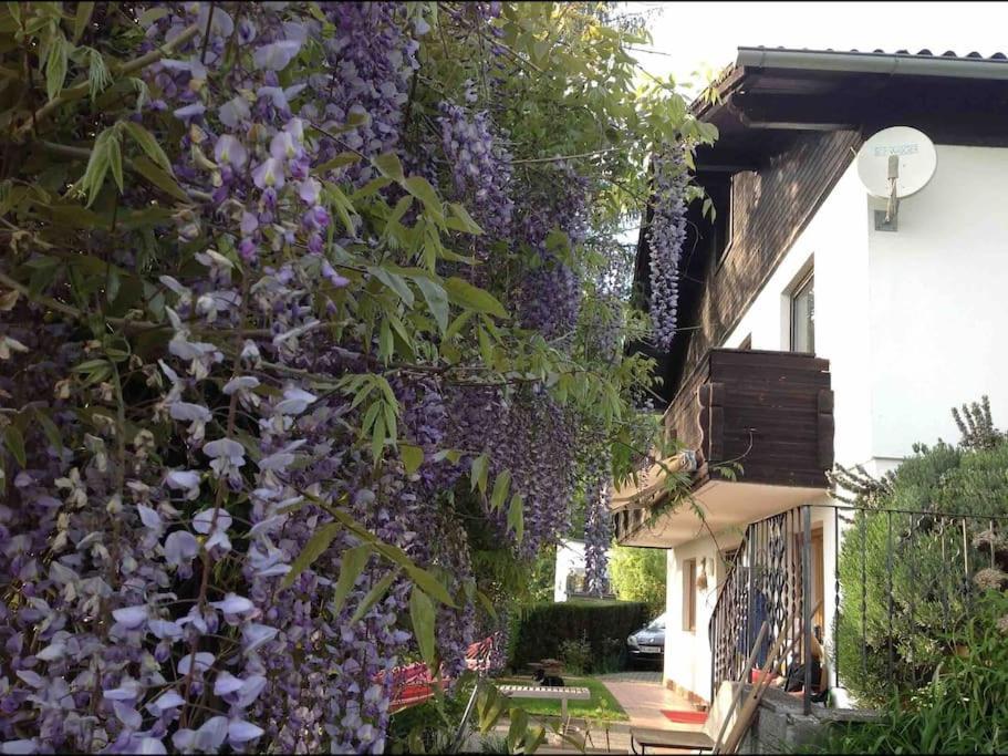 Charmantes Landhaus Mit Garten Und Traumhaftem Fernblick Thal  外观 照片