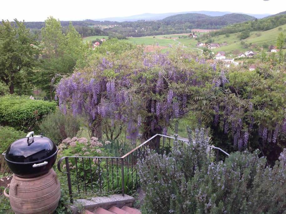 Charmantes Landhaus Mit Garten Und Traumhaftem Fernblick Thal  外观 照片