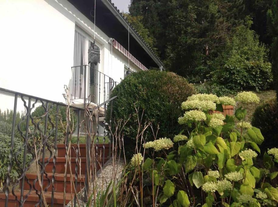 Charmantes Landhaus Mit Garten Und Traumhaftem Fernblick Thal  外观 照片